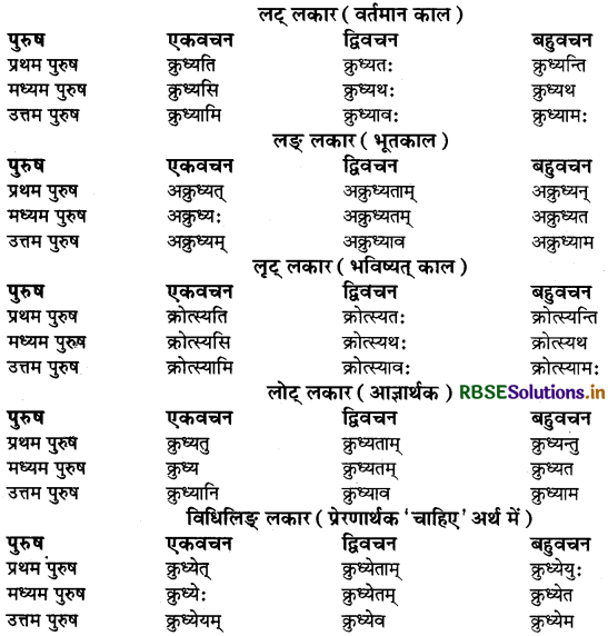 RBSE Class 9 Sanskrit व्याकरणम् धातुरूपाणि 12