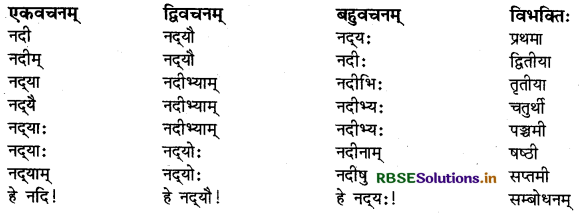 RBSE Class 9 Sanskrit व्याकरणम् शब्दरूपाणि 13