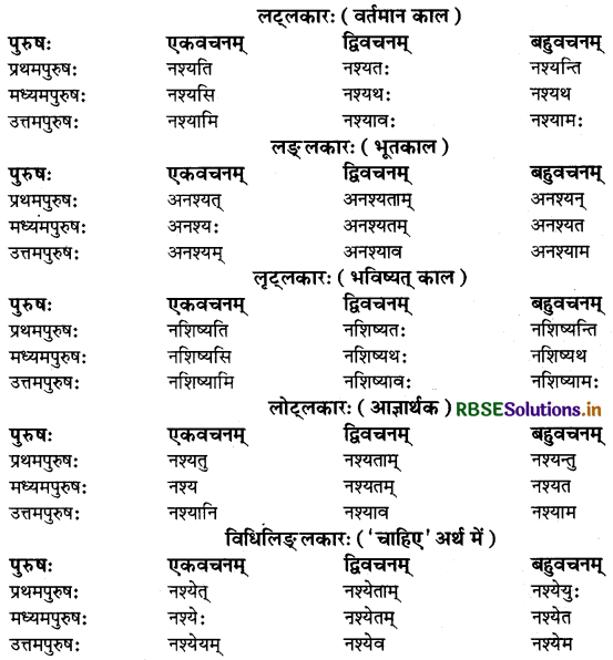 RBSE Class 9 Sanskrit व्याकरणम् धातुरूपाणि 13