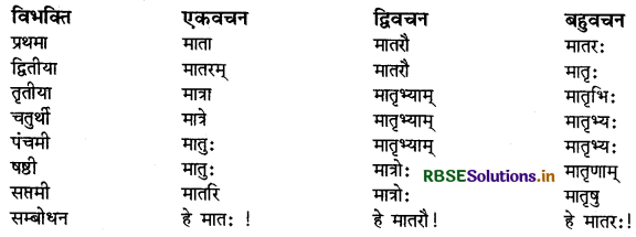 RBSE Class 9 Sanskrit व्याकरणम् शब्दरूपाणि 14