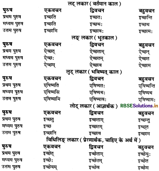RBSE Class 9 Sanskrit व्याकरणम् धातुरूपाणि 16