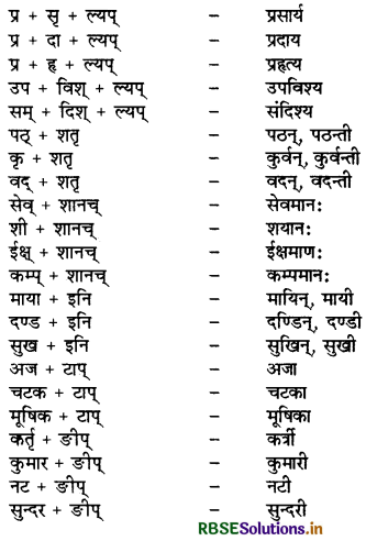 RBSE Class 9 Sanskrit व्याकरणम् प्रत्ययज्ञानम् 18