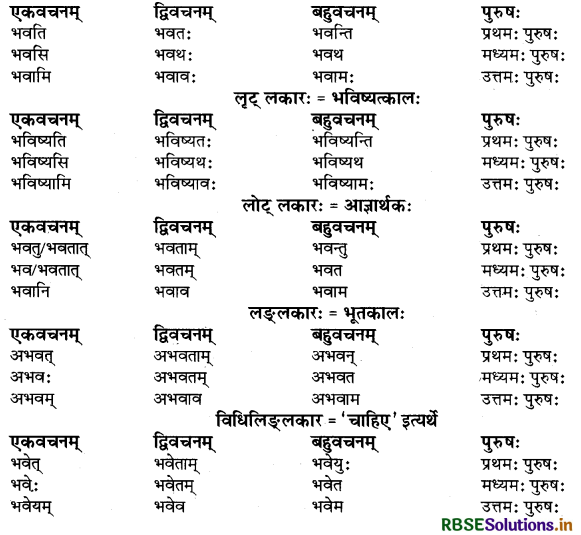 RBSE Class 9 Sanskrit व्याकरणम् धातुरूपाणि 1