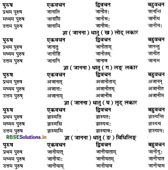 RBSE Class 9 Sanskrit व्याकरणम् धातुरूपाणि 21