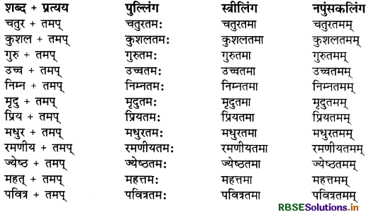 RBSE Class 9 Sanskrit व्याकरणम् प्रत्ययज्ञानम् 22