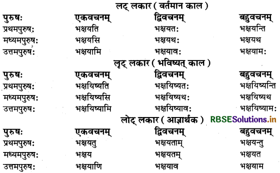 RBSE Class 9 Sanskrit व्याकरणम् धातुरूपाणि 22