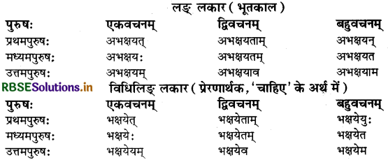RBSE Class 9 Sanskrit व्याकरणम् धातुरूपाणि 23