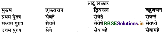RBSE Class 9 Sanskrit व्याकरणम् धातुरूपाणि 25
