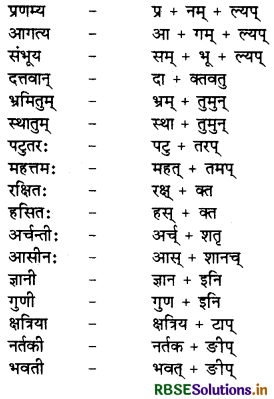 RBSE Class 9 Sanskrit व्याकरणम् प्रत्ययज्ञानम् 26