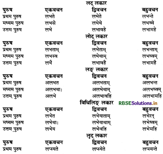 RBSE Class 9 Sanskrit व्याकरणम् धातुरूपाणि 27