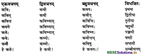 RBSE Class 9 Sanskrit व्याकरणम् शब्दरूपाणि 2