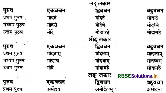 RBSE Class 9 Sanskrit व्याकरणम् धातुरूपाणि 30
