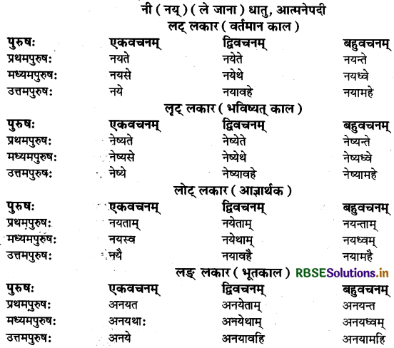RBSE Class 9 Sanskrit व्याकरणम् धातुरूपाणि 35
