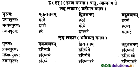 RBSE Class 9 Sanskrit व्याकरणम् धातुरूपाणि 38