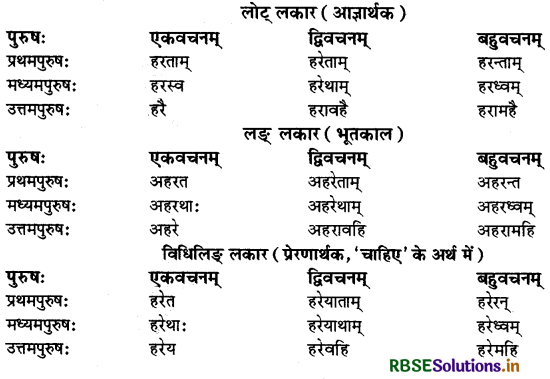 RBSE Class 9 Sanskrit व्याकरणम् धातुरूपाणि 39