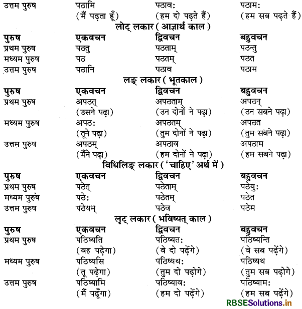 RBSE Class 9 Sanskrit व्याकरणम् धातुरूपाणि 3