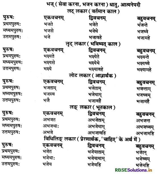 RBSE Class 9 Sanskrit व्याकरणम् धातुरूपाणि 45