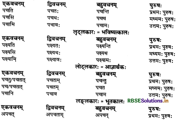 RBSE Class 9 Sanskrit व्याकरणम् धातुरूपाणि 46