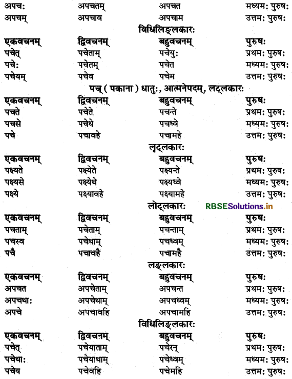 RBSE Class 9 Sanskrit व्याकरणम् धातुरूपाणि 47