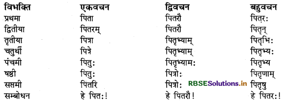 RBSE Class 9 Sanskrit व्याकरणम् शब्दरूपाणि 4