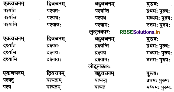 RBSE Class 9 Sanskrit व्याकरणम् धातुरूपाणि 56
