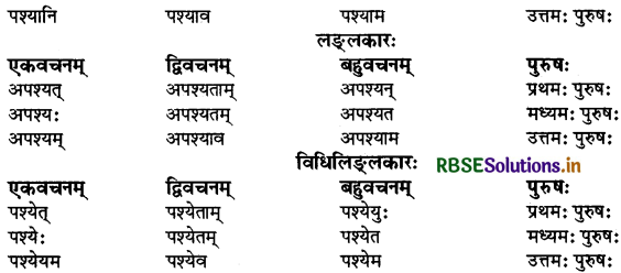 RBSE Class 9 Sanskrit व्याकरणम् धातुरूपाणि 57