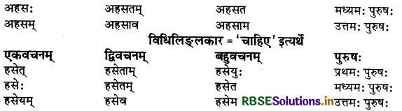 RBSE Class 9 Sanskrit व्याकरणम् धातुरूपाणि 5