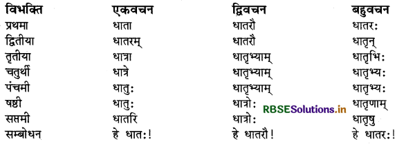 RBSE Class 9 Sanskrit व्याकरणम् शब्दरूपाणि 5