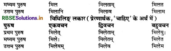 RBSE Class 9 Sanskrit व्याकरणम् धातुरूपाणि 64