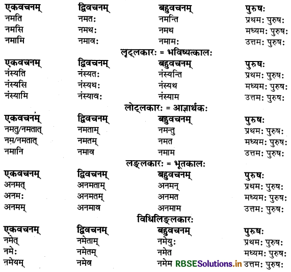 RBSE Class 9 Sanskrit व्याकरणम् धातुरूपाणि 6