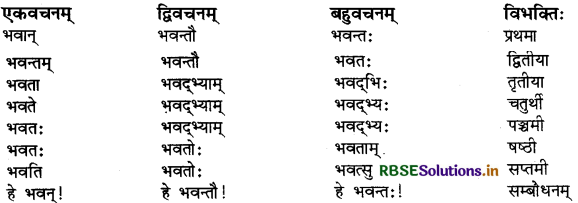 RBSE Class 9 Sanskrit व्याकरणम् शब्दरूपाणि 7