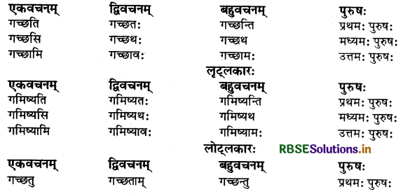 RBSE Class 9 Sanskrit व्याकरणम् धातुरूपाणि 7