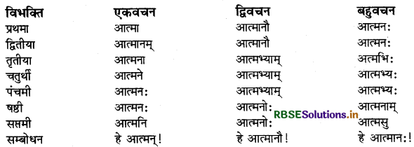 RBSE Class 9 Sanskrit व्याकरणम् शब्दरूपाणि 8