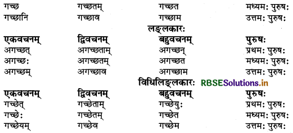 RBSE Class 9 Sanskrit व्याकरणम् धातुरूपाणि 8
