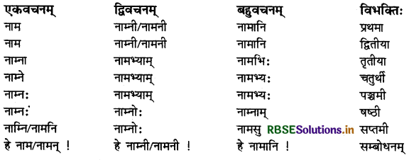 RBSE Class 9 Sanskrit व्याकरणम् सर्वनाम शब्द 11