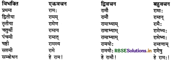 RBSE Class 9 Sanskrit व्याकरणम् सर्वनाम शब्द 13