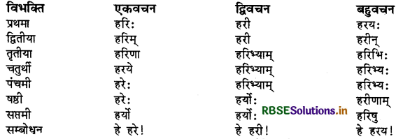 RBSE Class 9 Sanskrit व्याकरणम् सर्वनाम शब्द 14