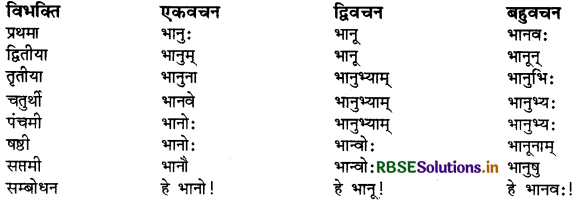 RBSE Class 9 Sanskrit व्याकरणम् सर्वनाम शब्द 15