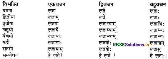 RBSE Class 9 Sanskrit व्याकरणम् सर्वनाम शब्द 16