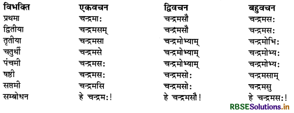 RBSE Class 9 Sanskrit व्याकरणम् सर्वनाम शब्द 17