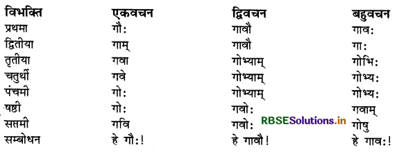 RBSE Class 9 Sanskrit व्याकरणम् सर्वनाम शब्द 18