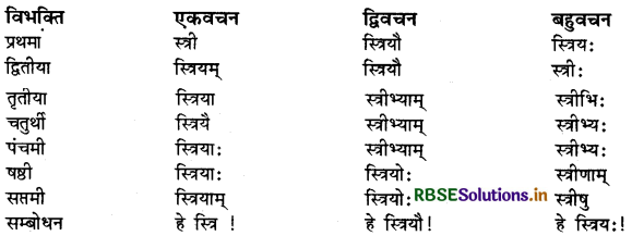 RBSE Class 9 Sanskrit व्याकरणम् सर्वनाम शब्द 19
