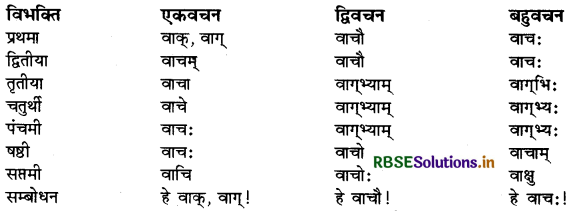 RBSE Class 9 Sanskrit व्याकरणम् सर्वनाम शब्द 20