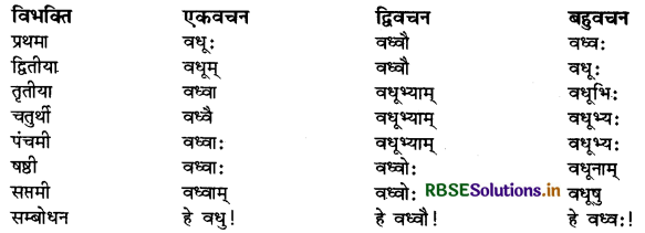 RBSE Class 9 Sanskrit व्याकरणम् सर्वनाम शब्द 21