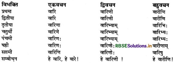 RBSE Class 9 Sanskrit व्याकरणम् सर्वनाम शब्द 22