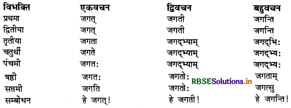 RBSE Class 9 Sanskrit व्याकरणम् सर्वनाम शब्द 23