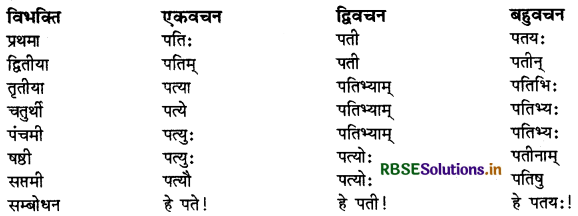 RBSE Class 9 Sanskrit व्याकरणम् सर्वनाम शब्द 25