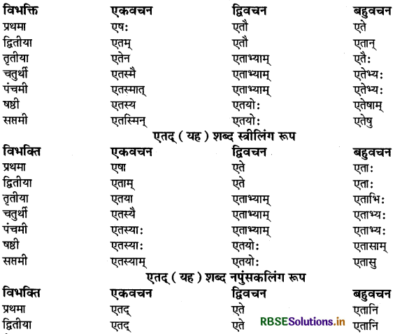 RBSE Class 9 Sanskrit व्याकरणम् सर्वनाम शब्द 28