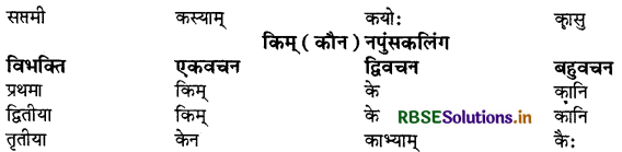 RBSE Class 9 Sanskrit व्याकरणम् सर्वनाम शब्द 5