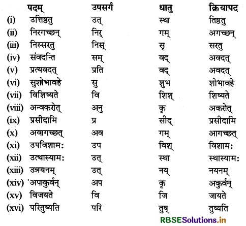 RBSE Class 9 Sanskrit व्याकरणम् उपसर्गाः 6
